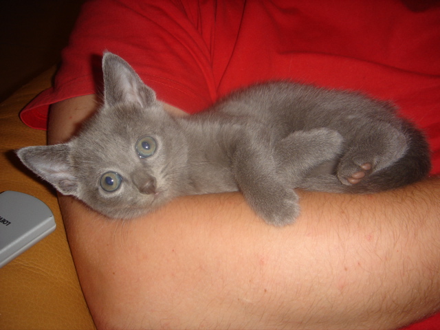 DSC01368.JPG