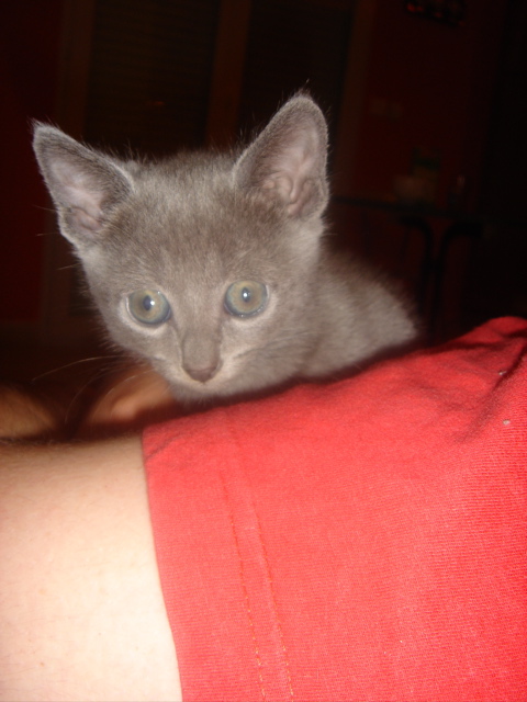 DSC01374.JPG