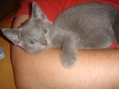 DSC01365.JPG