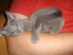DSC01366.JPG