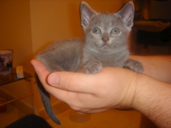 DSC01401.JPG