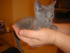 DSC01402.JPG