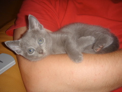 DSC01368.JPG