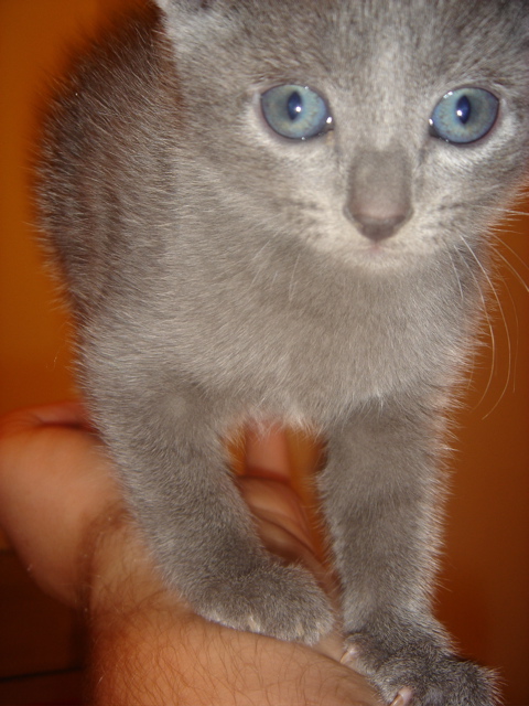 DSC01424.JPG