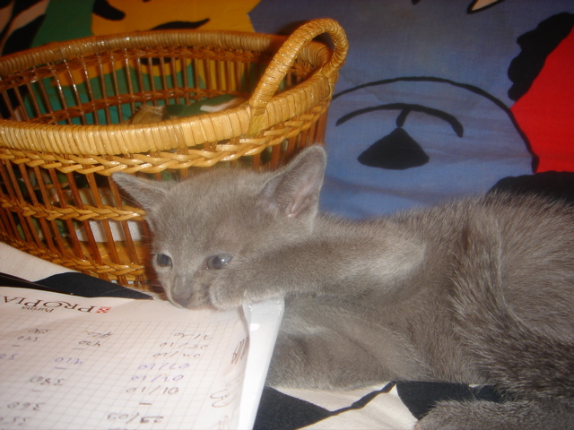 DSC01473.JPG