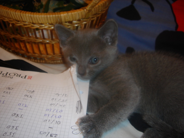 DSC01475.JPG