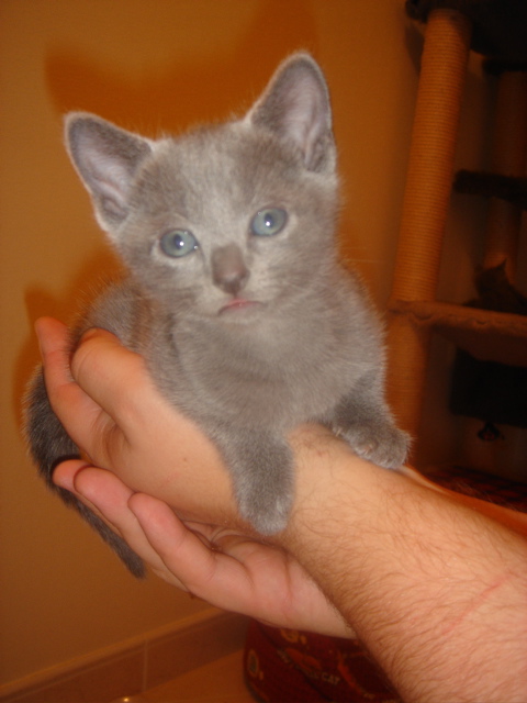 DSC01407.JPG