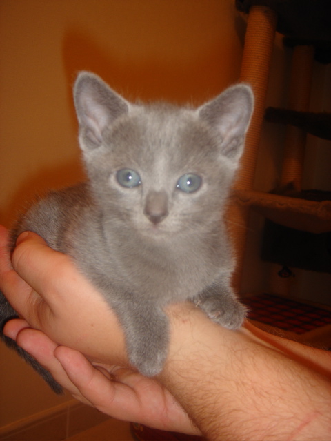 DSC01408.JPG