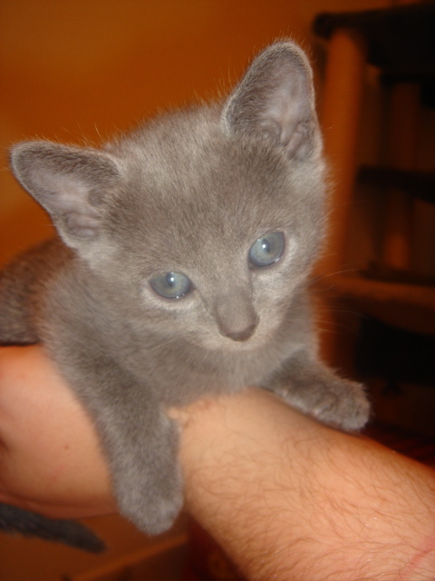 DSC01421.JPG
