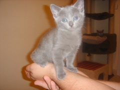 DSC01405.JPG