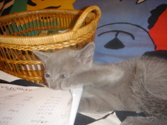 DSC01473.JPG