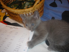 DSC01474.JPG
