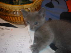 DSC01475.JPG