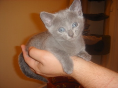 DSC01412.JPG