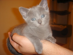DSC01415.JPG