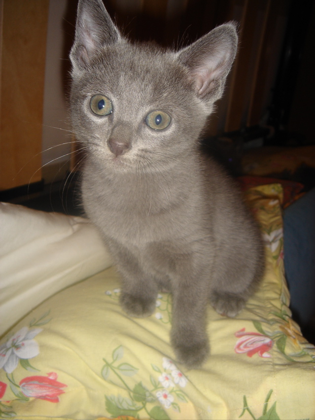 DSC01624.JPG