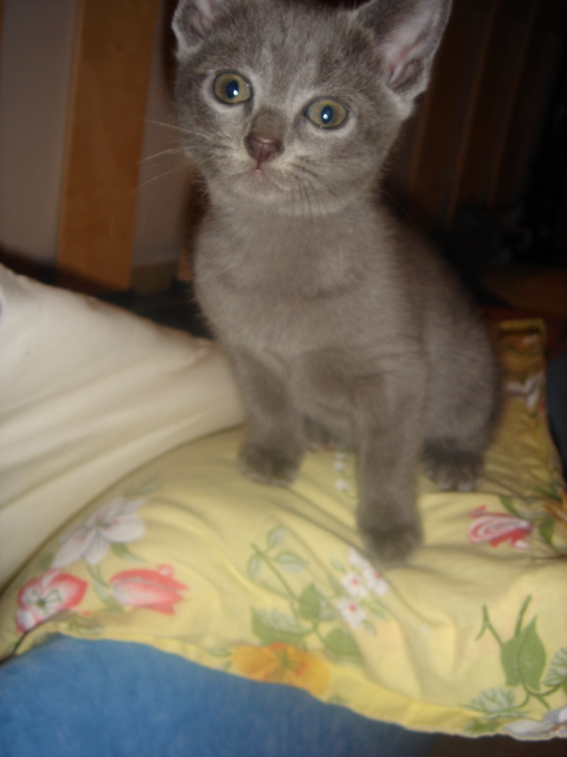 DSC01623.JPG