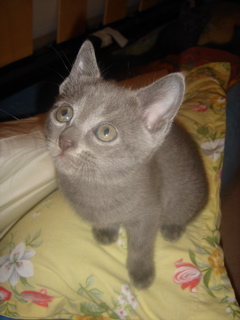 DSC01626.JPG