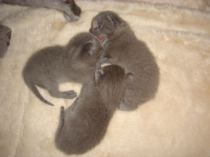 DSC00638.JPG