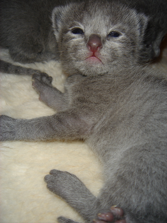 DSC00642.JPG