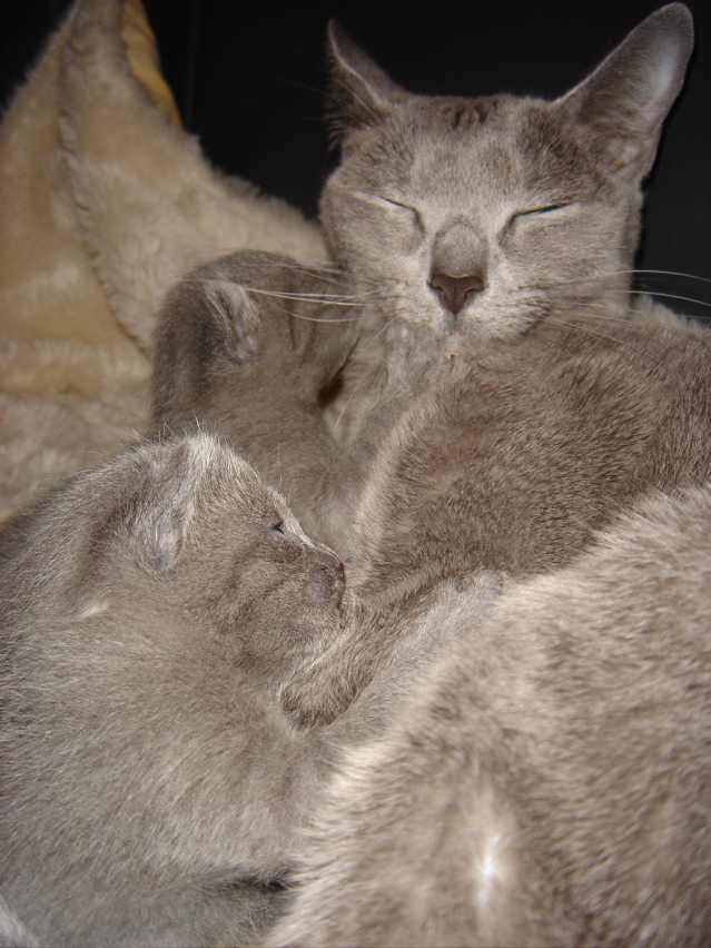 DSC00653.JPG