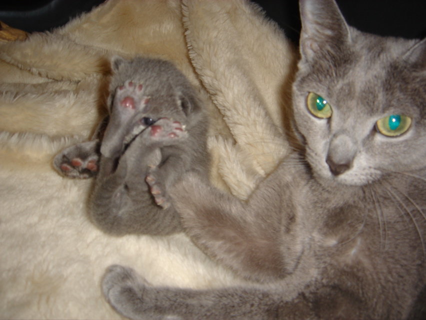 DSC00654.JPG