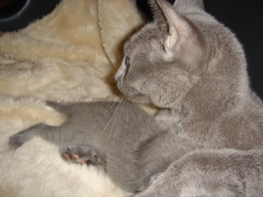 DSC00655.JPG