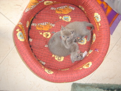 DSC01021.JPG
