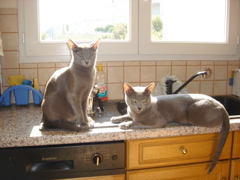 DSC01025.JPG