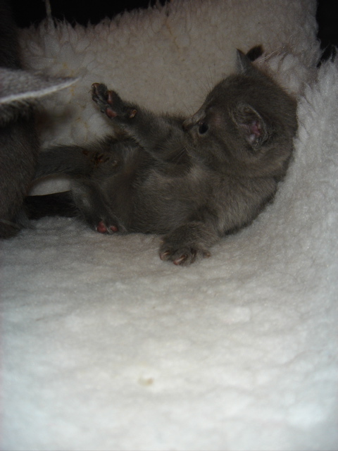 DSC01068.JPG