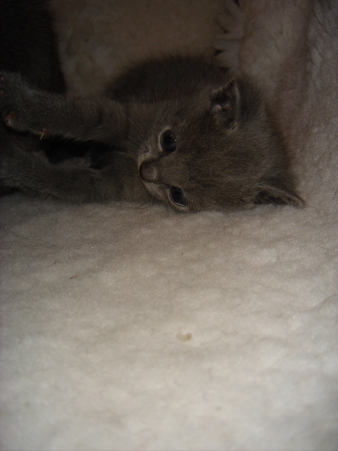 DSC01070.JPG