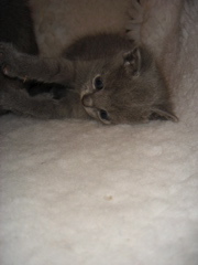 DSC01070.JPG