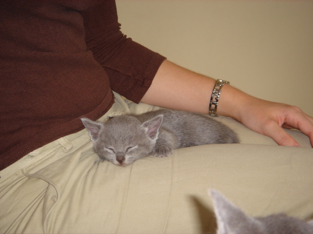 DSC01103.JPG