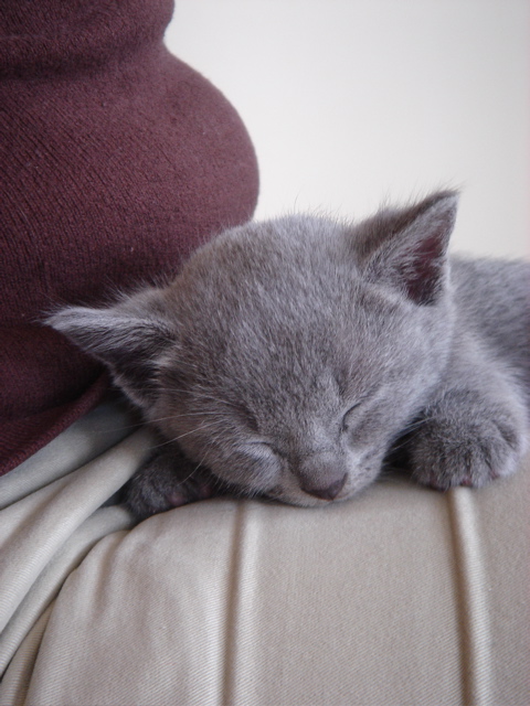 DSC01122.JPG