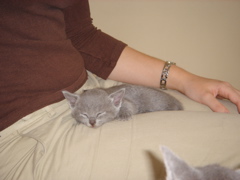 DSC01103.JPG