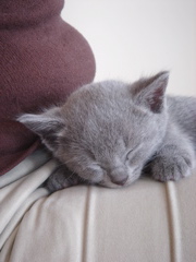 DSC01122.JPG