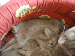 DSC01192.JPG