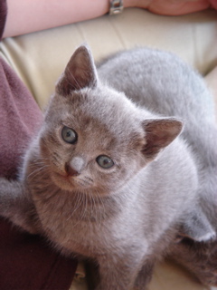 DSC01163.JPG
