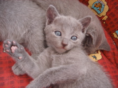 DSC01200.JPG