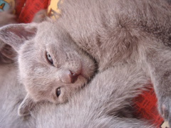 DSC01208.JPG