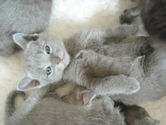 DSC01179.JPG