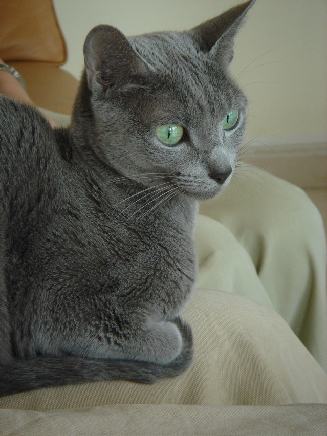 DSC01166.JPG
