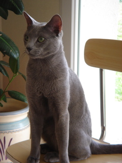 DSC01140.JPG