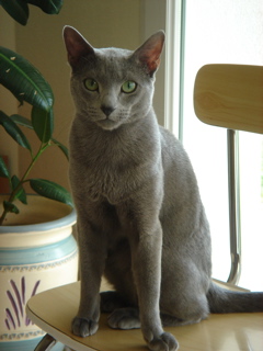 DSC01141.JPG