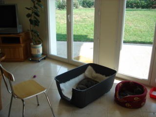 DSC01194.JPG