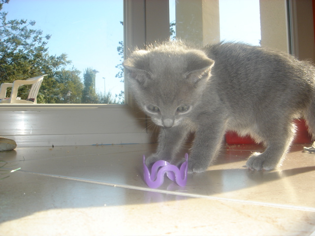 DSC01514.JPG