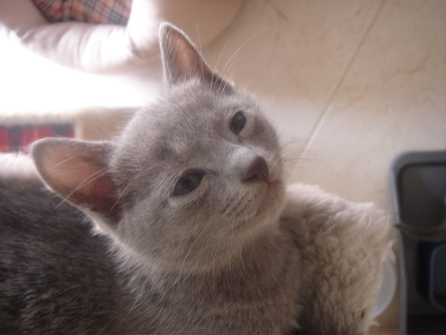 DSC01556.JPG