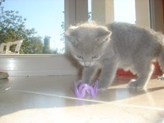 DSC01514.JPG