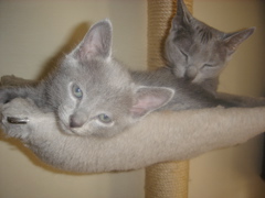DSC01546.JPG