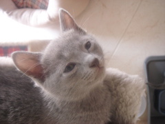 DSC01556.JPG